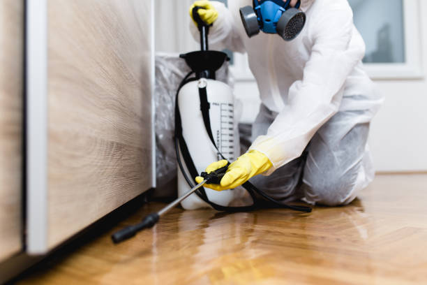 Best Local Pest Control Services  in Oceanside, CA