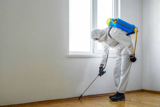 Best Commercial Pest Control Services  in Oceanside, CA